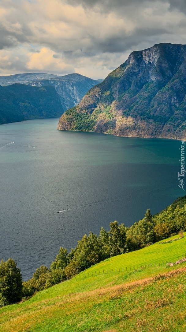 Fiord Aurlandsfjord w Norwegii