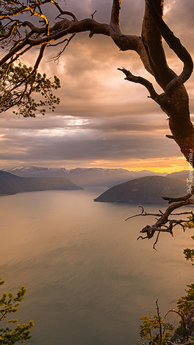 Fiord Sognefjorden