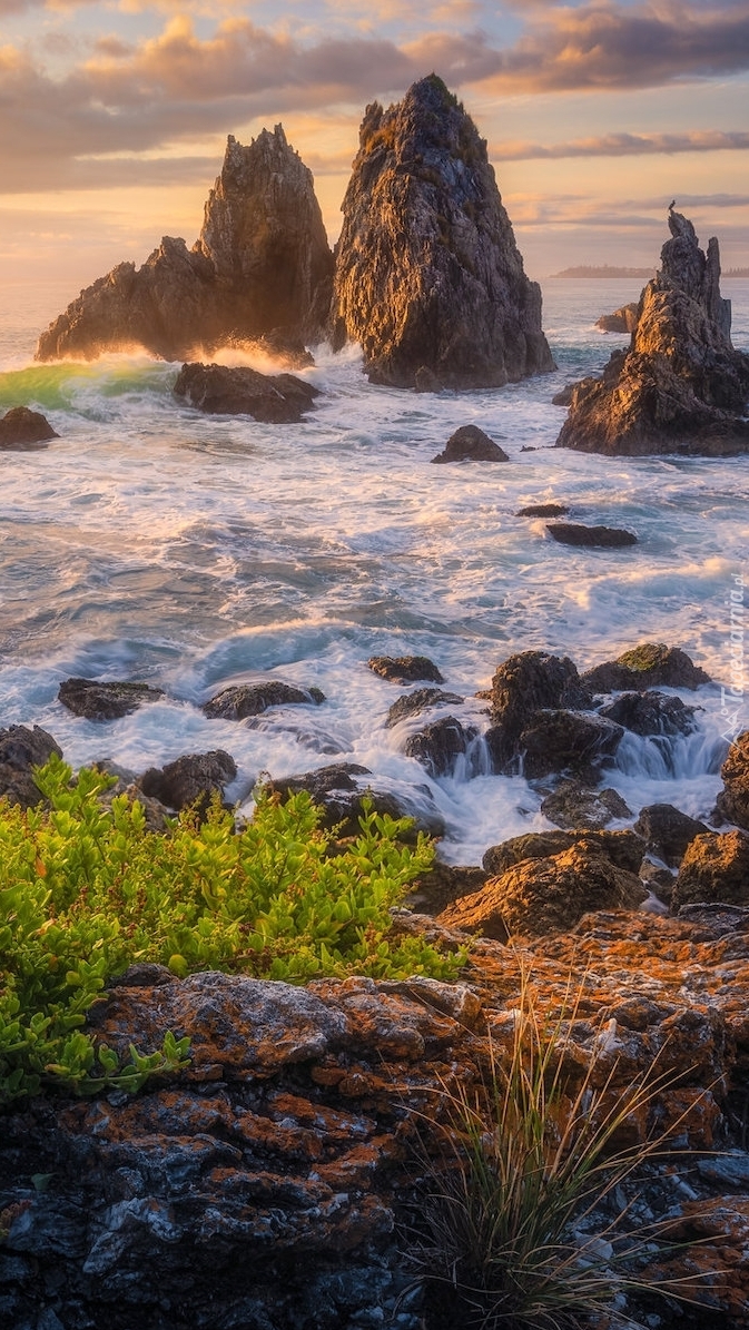 Formacja skalna Camel Rock w Bermagui