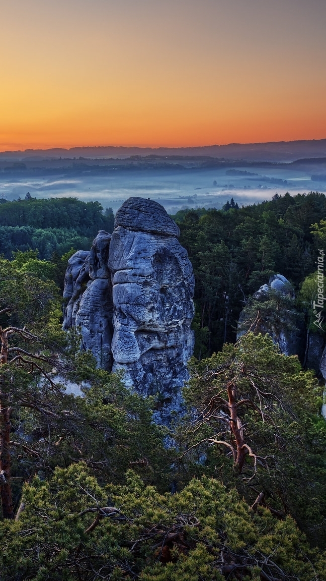 Formacje skalne pośród drzew