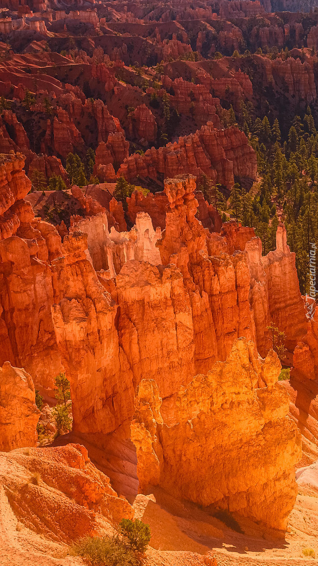Formacje skalne w Parku Narodowym Bryce Canyon