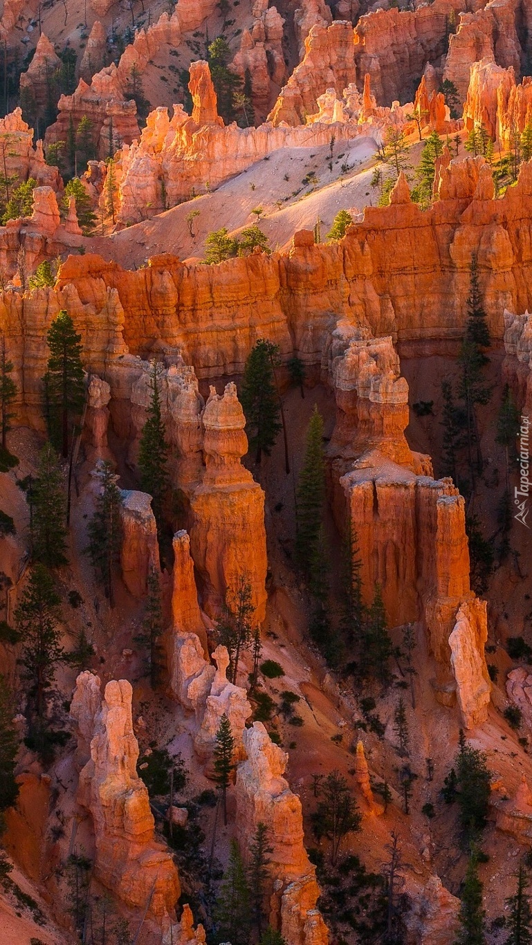 Formacje skalne w Parku Narodowym Bryce Canyon