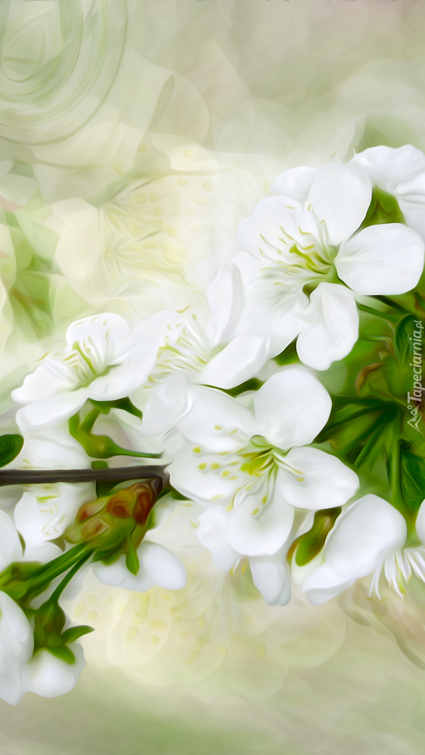 Gałązka białych kwiatów