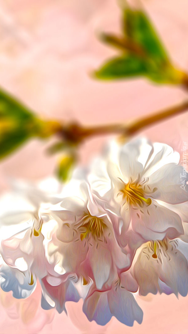 Gałązka z białymi kwiatami