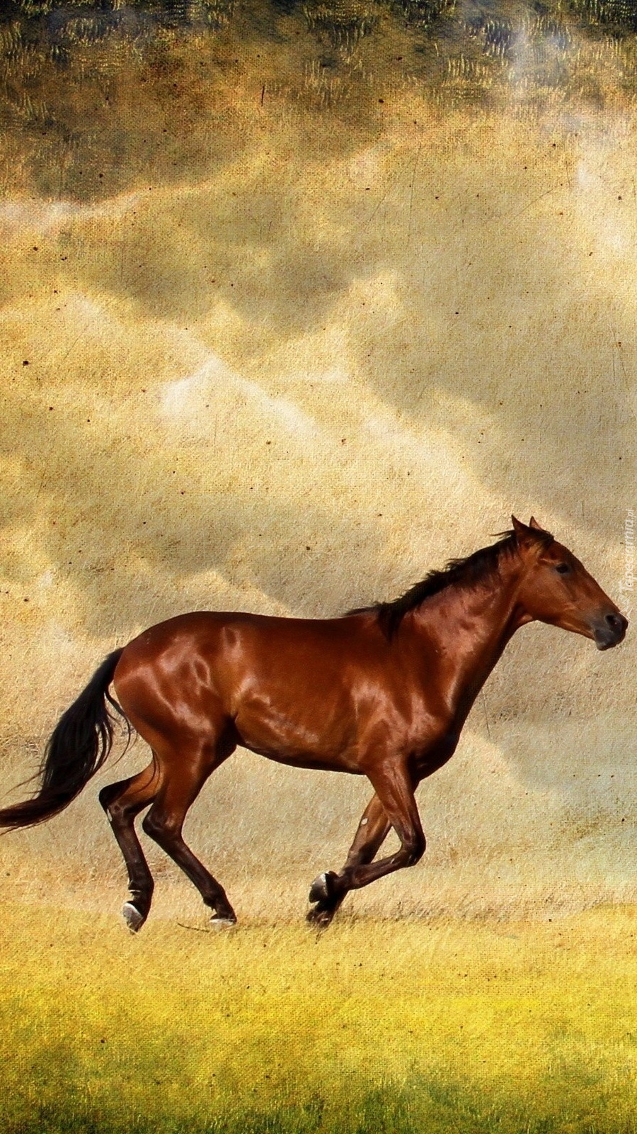 Лошадь бежит