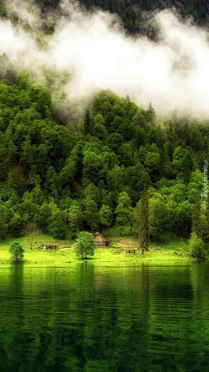 Gęste chmury nad lasem przy jeziorze