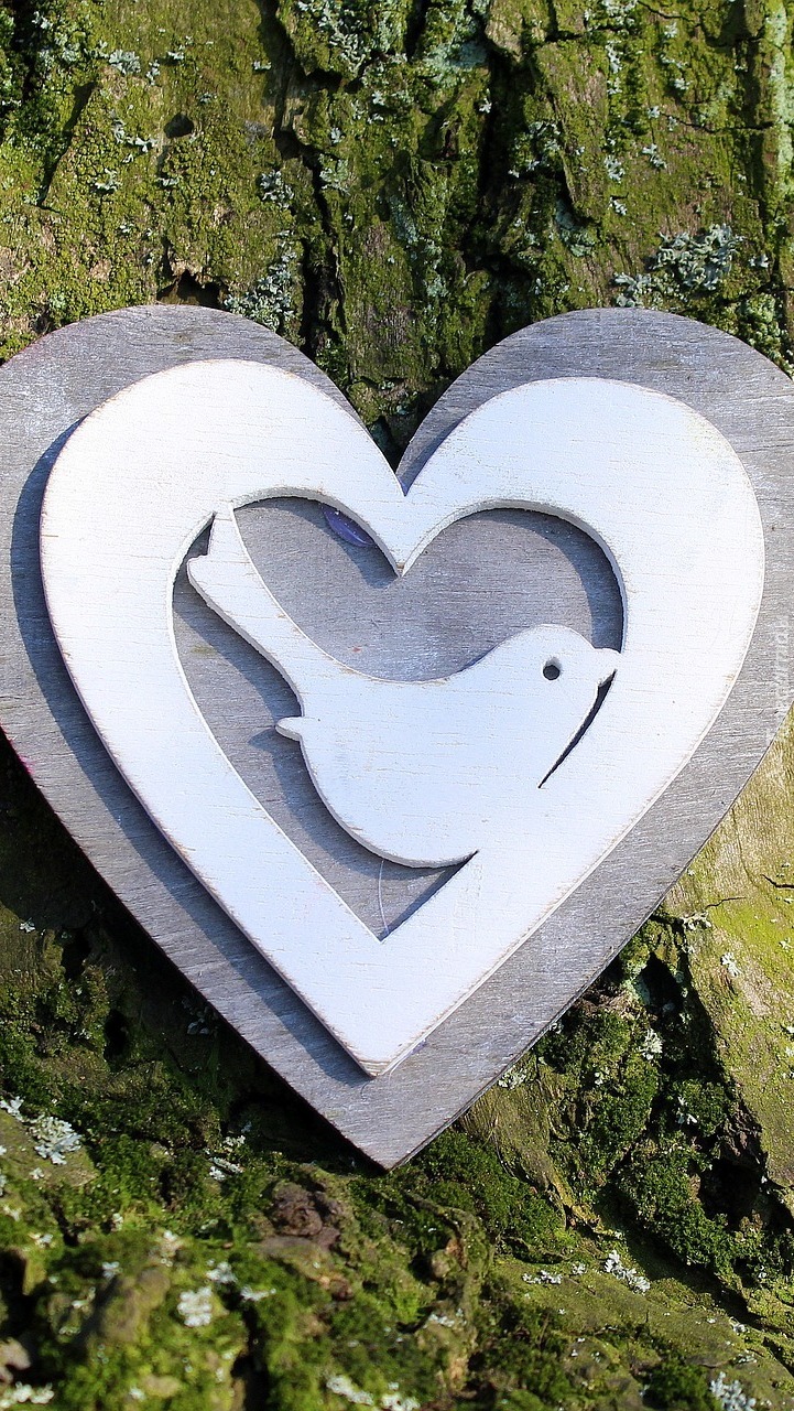 Gołębie serce