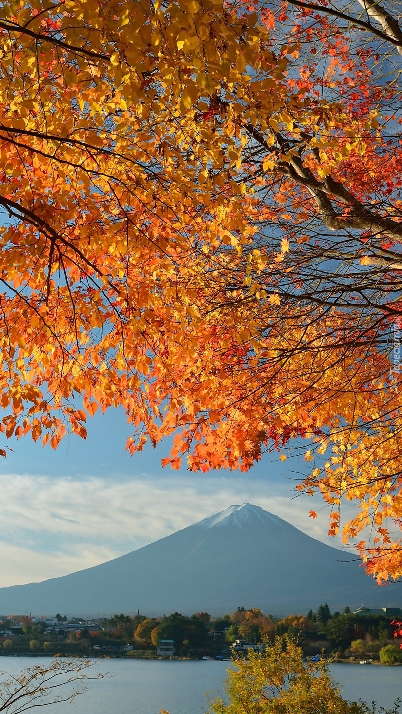 Góra Fuji w Japonii
