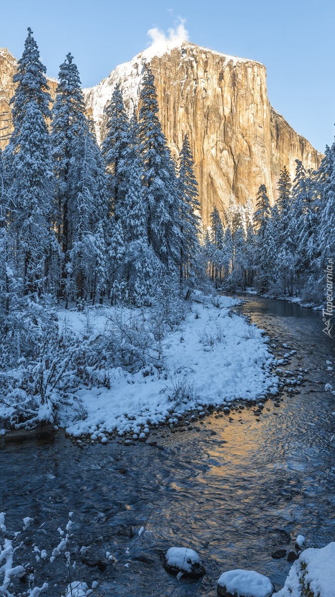 Góra Half Dome i ośnieżone drzewa nad rzeką Merced River