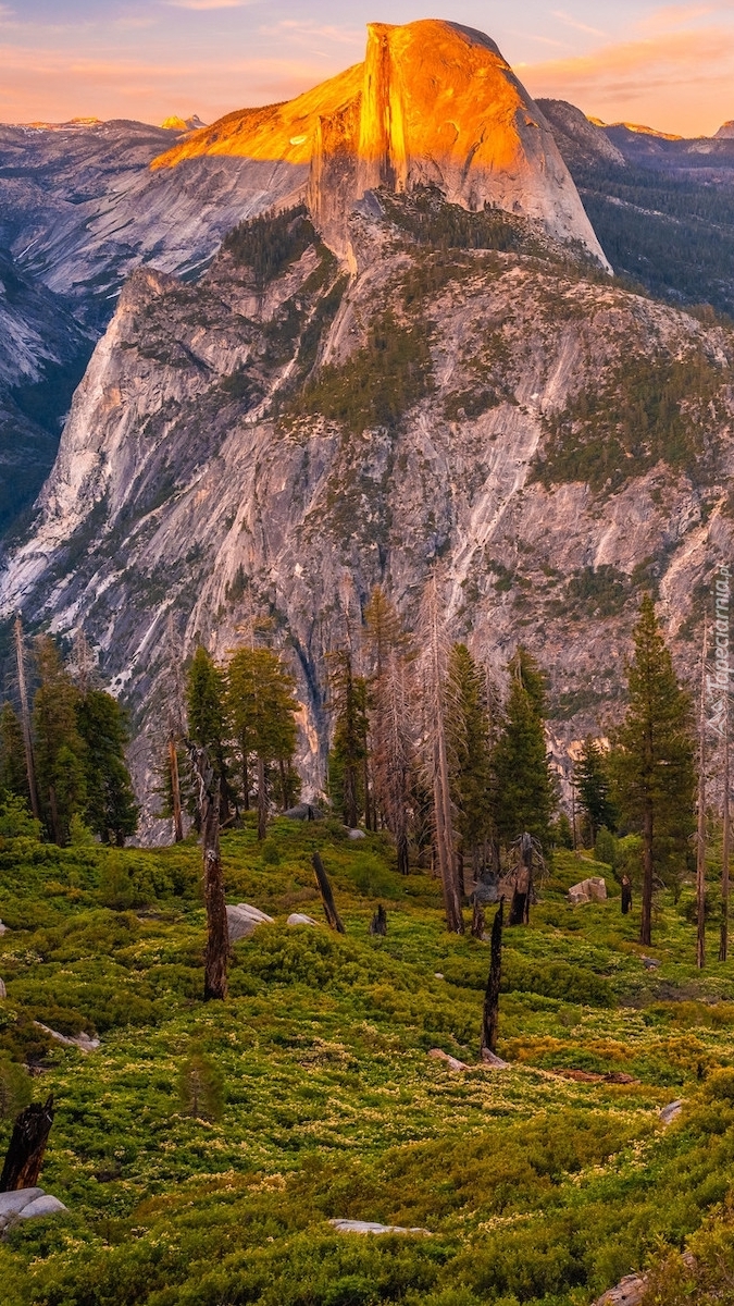 Góra Half Dome w Kalifornii