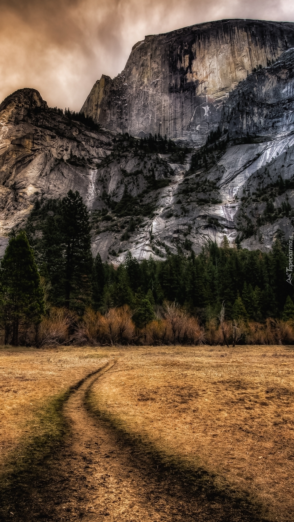 Góra Half Dome w Parku Narodowym Yosemite