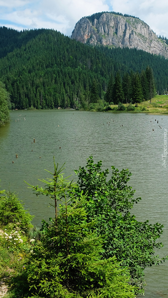 Góra i lasy nad jeziorem