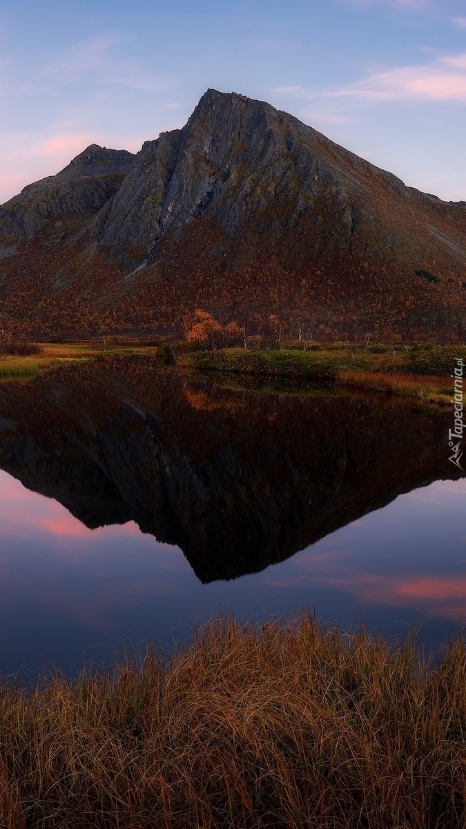 Góra i staw na wyspie Senja