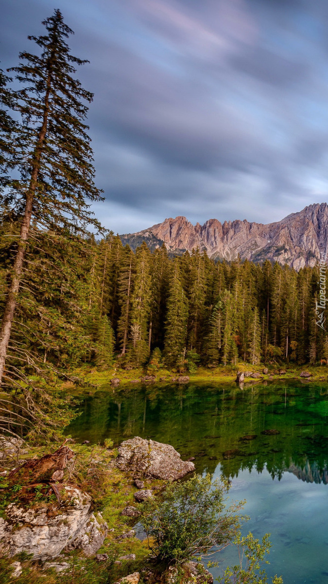 Góra Latemar i drzewa nad jeziorem Karersee