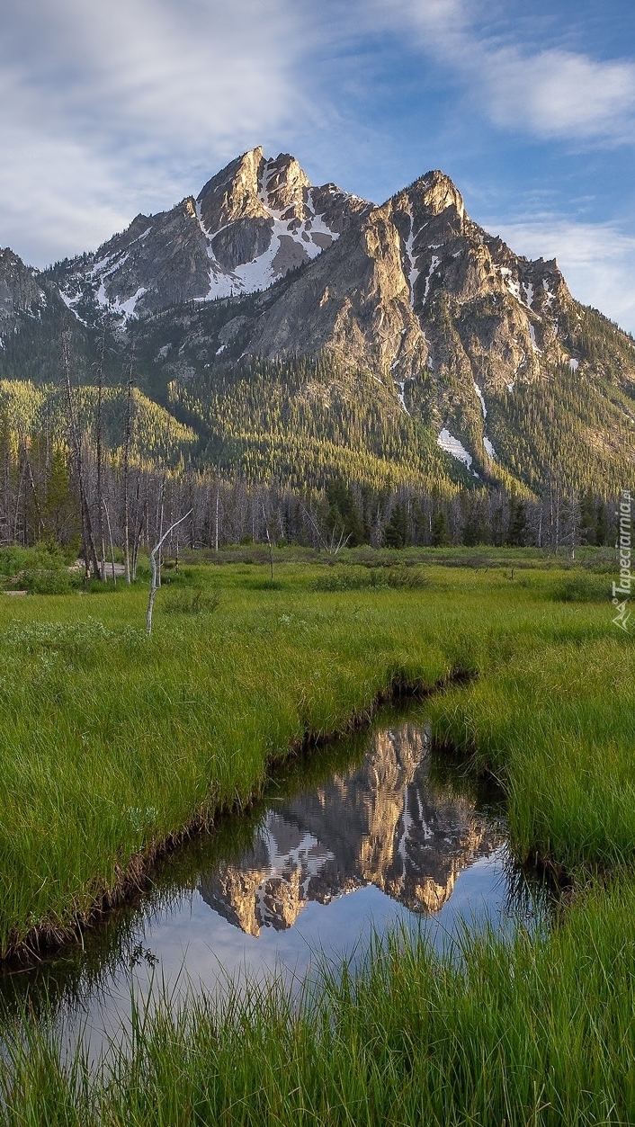 Góra McGown Peak