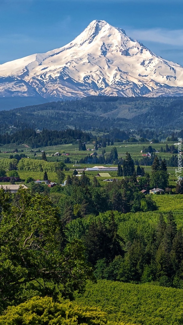 Góra Mount Hood w Oregonie