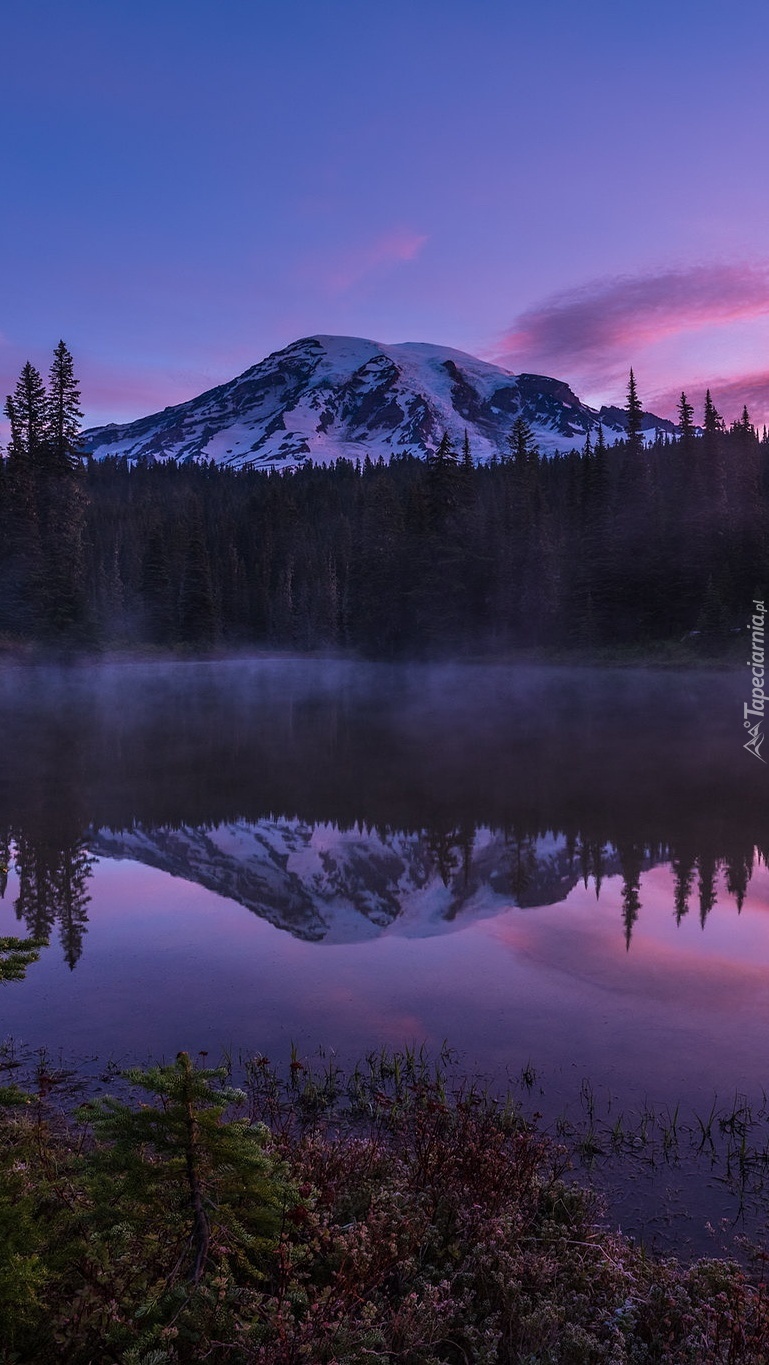 Góra Mount Rainier