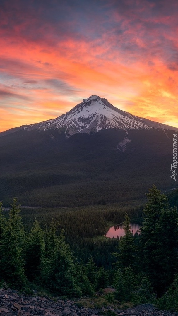 Góra Tolmie Peak