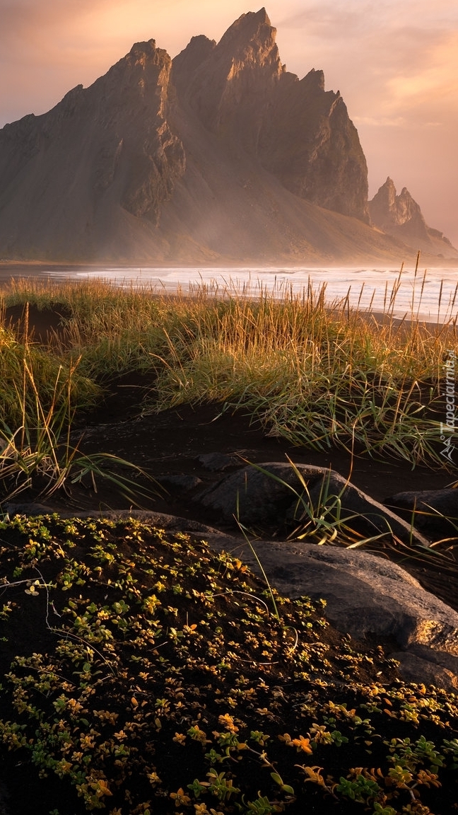 Góra Vestrahorn nad morzem w Islandii