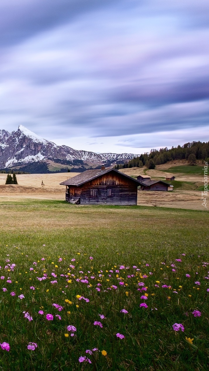 Górska dolina z domami i kwiecistą łąką  we Włoszech