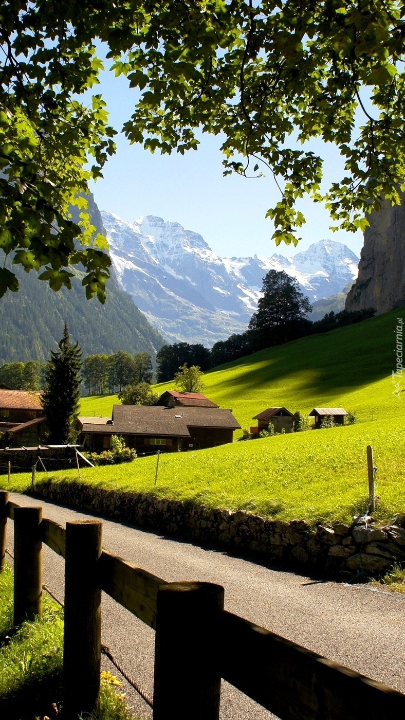 Górski krajobraz w Szwajcarii