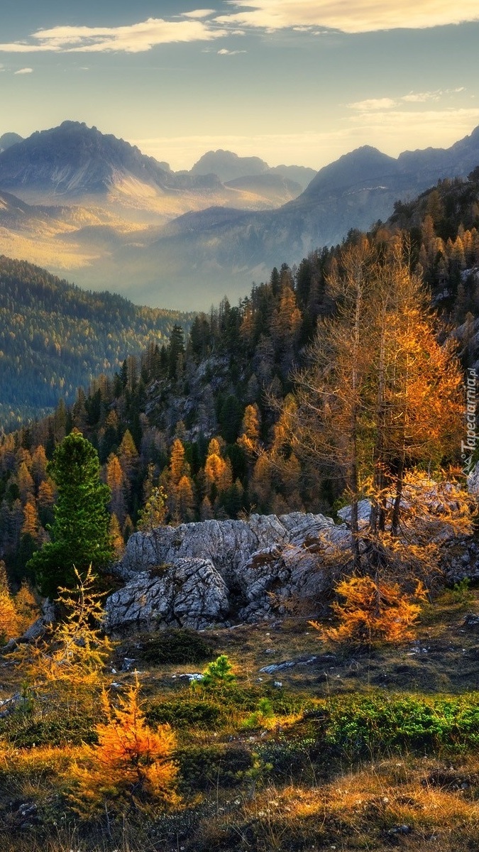 Górski las w jesiennych kolorach