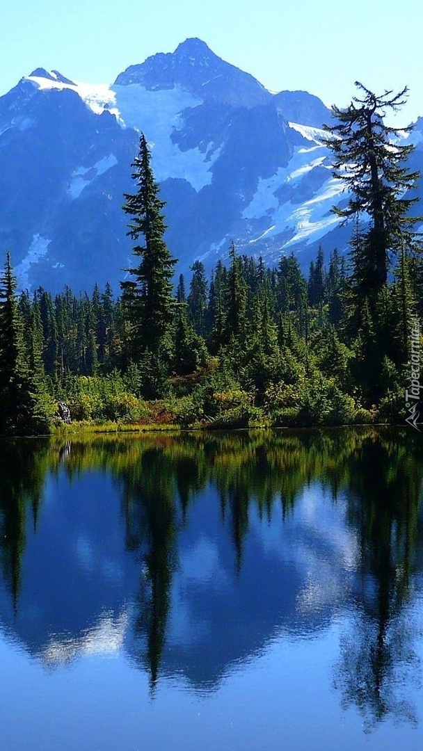 Górski las z jeziorem