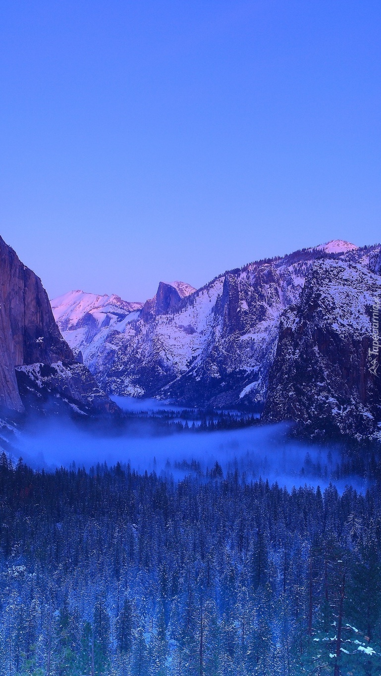 Górski Park Yosemite we mgle