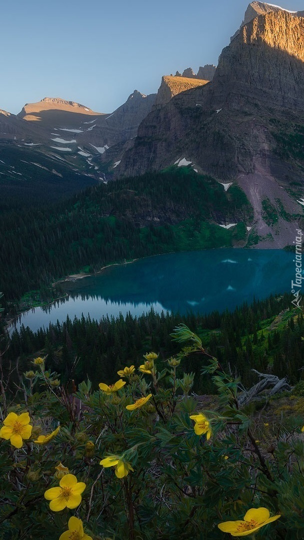 Górskie jezioro Grinnell Lake