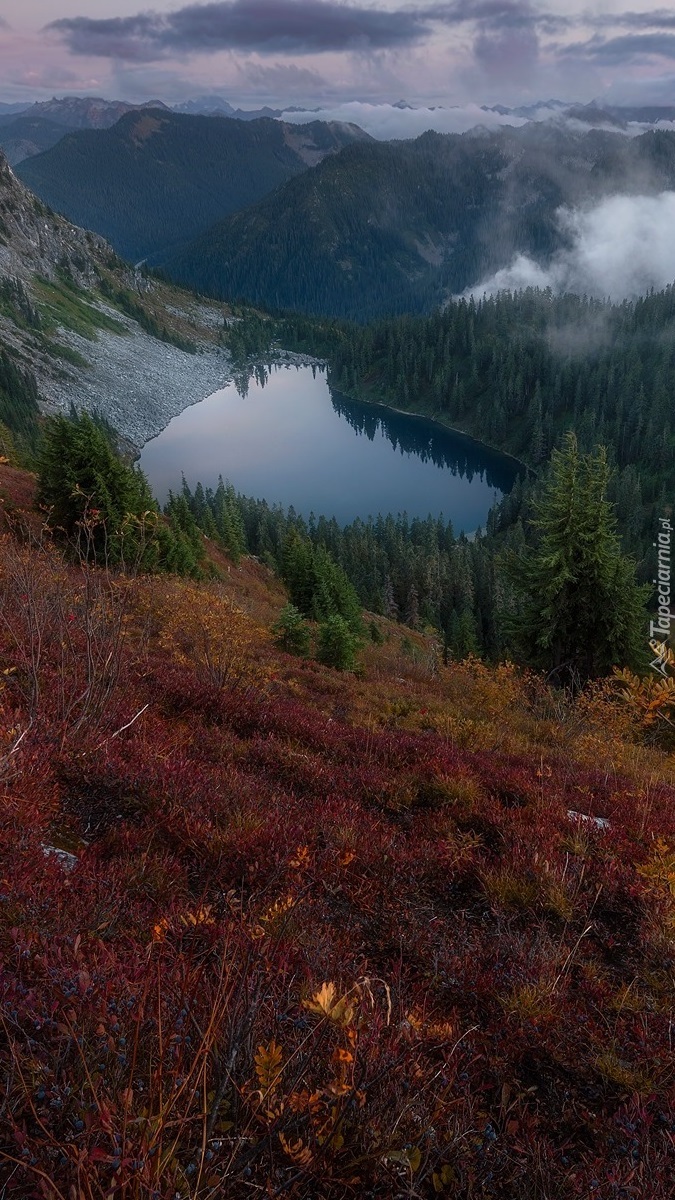 Górskie jezioro i mgła nad lasem