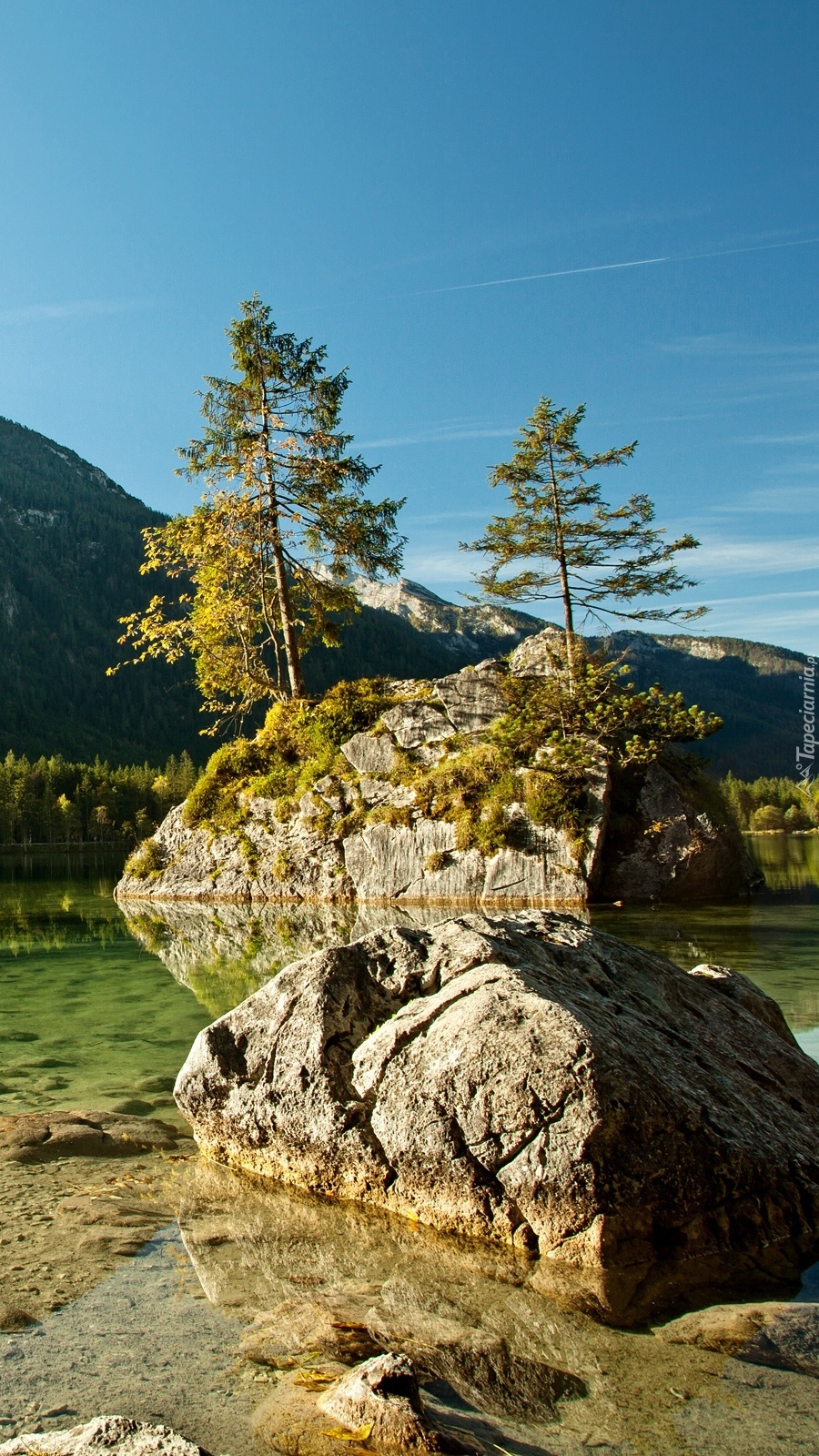 Górskie jezioro z drzewami na skale