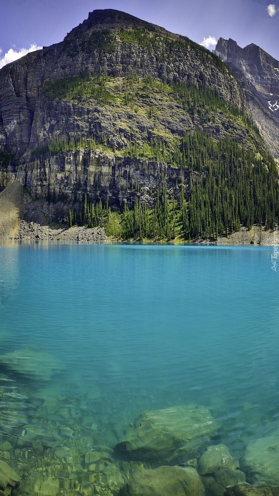 Górskie leśne jezioro w Kanadzie