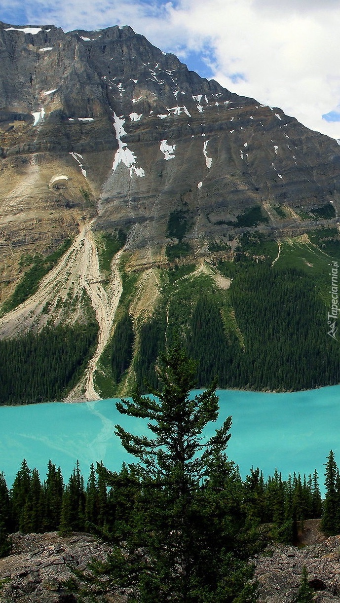 Góry Canadian Rockies i jezioro Peyto Lake
