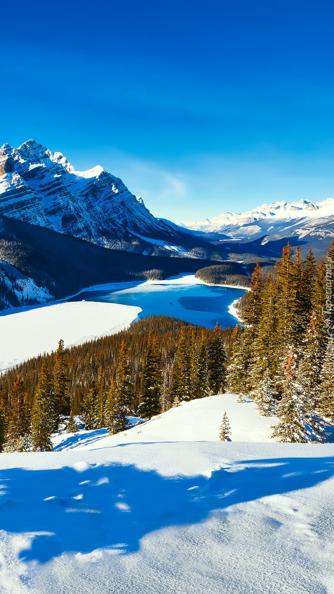 Góry Canadian Rockies nad jeziorem Peyto Lake