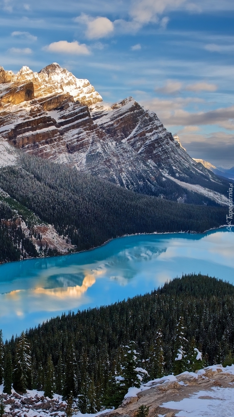 Góry Canadian Rockies nad jeziorem Peyto Lake