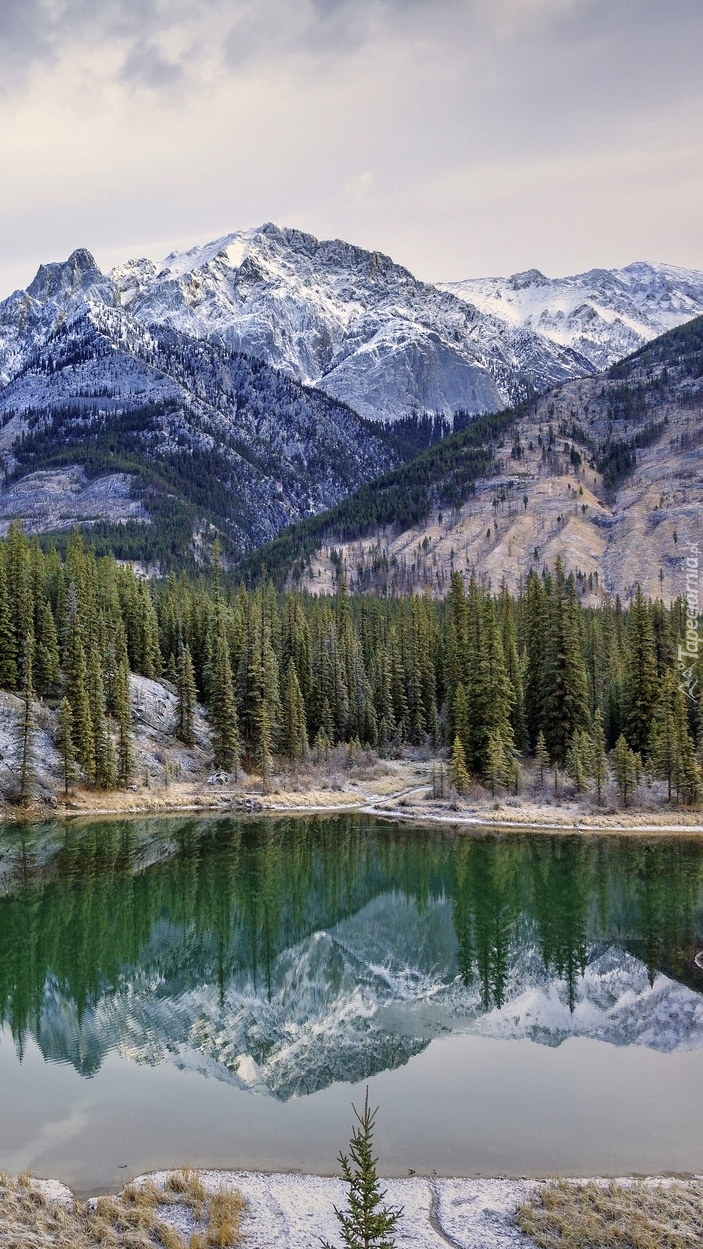 Góry Canadian Rockies nad rzeką Bow