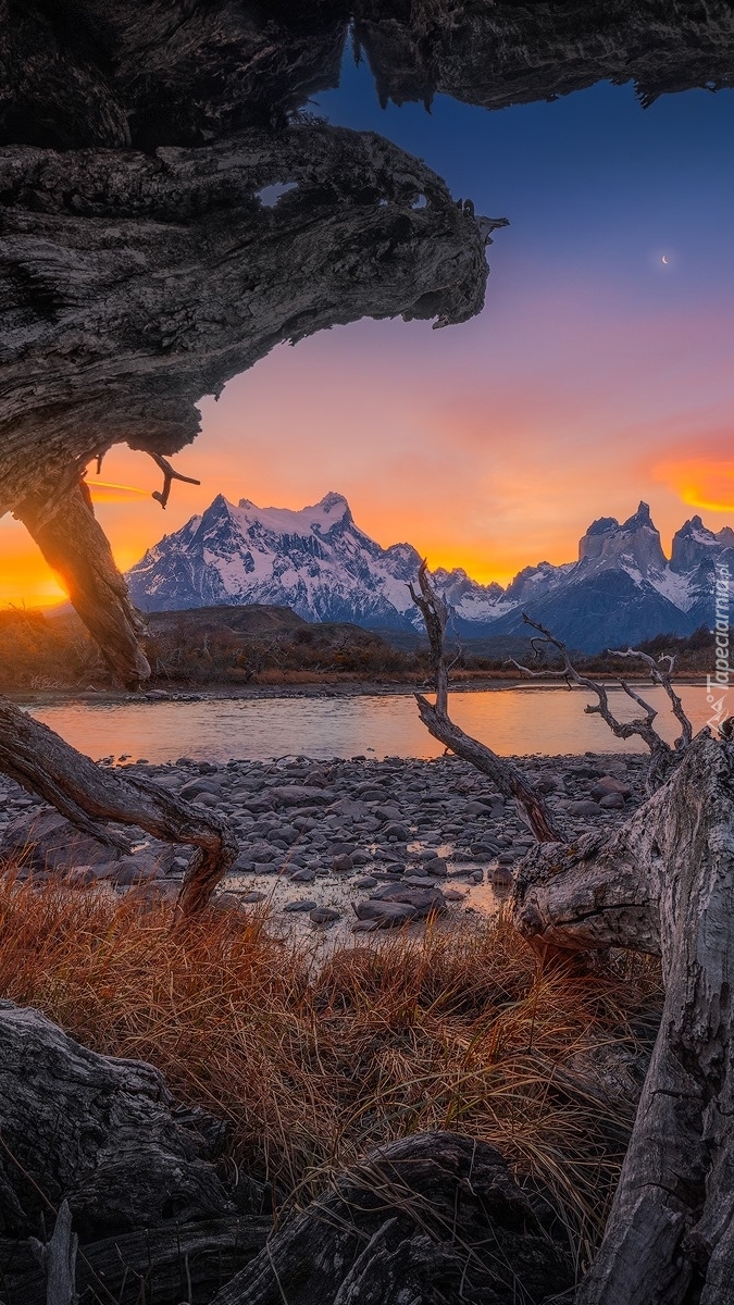 Góry Cordillera del Paine w Patagonii