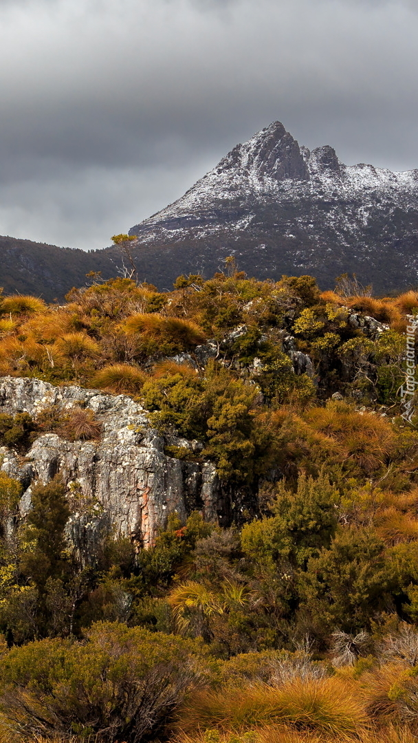 Góry Cradle Mountain