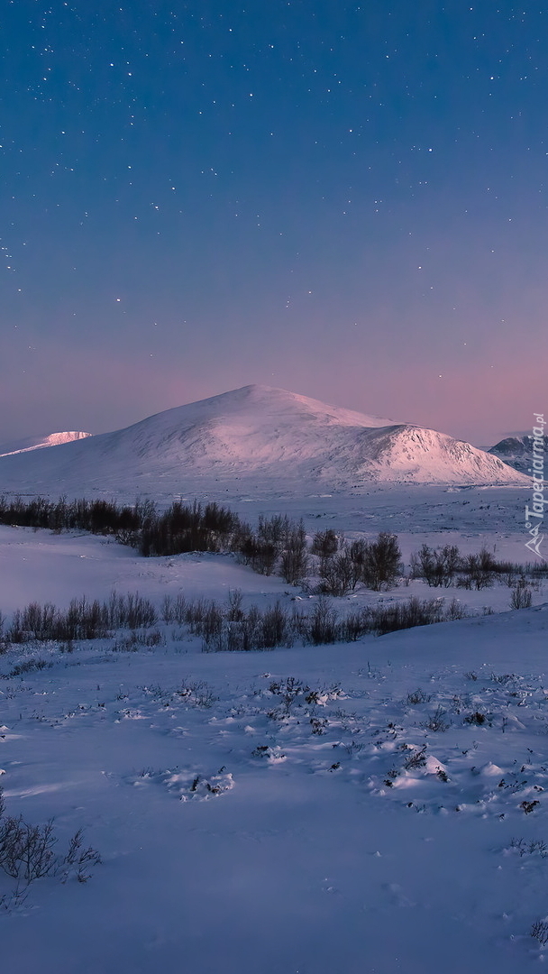 Góry Dovre w Norwegii zimową porą