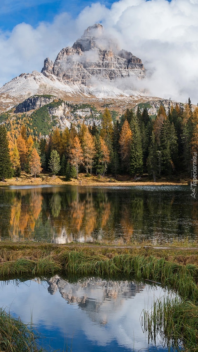 Góry i drzewa nad jeziorem Antorno Lake we Włoszech
