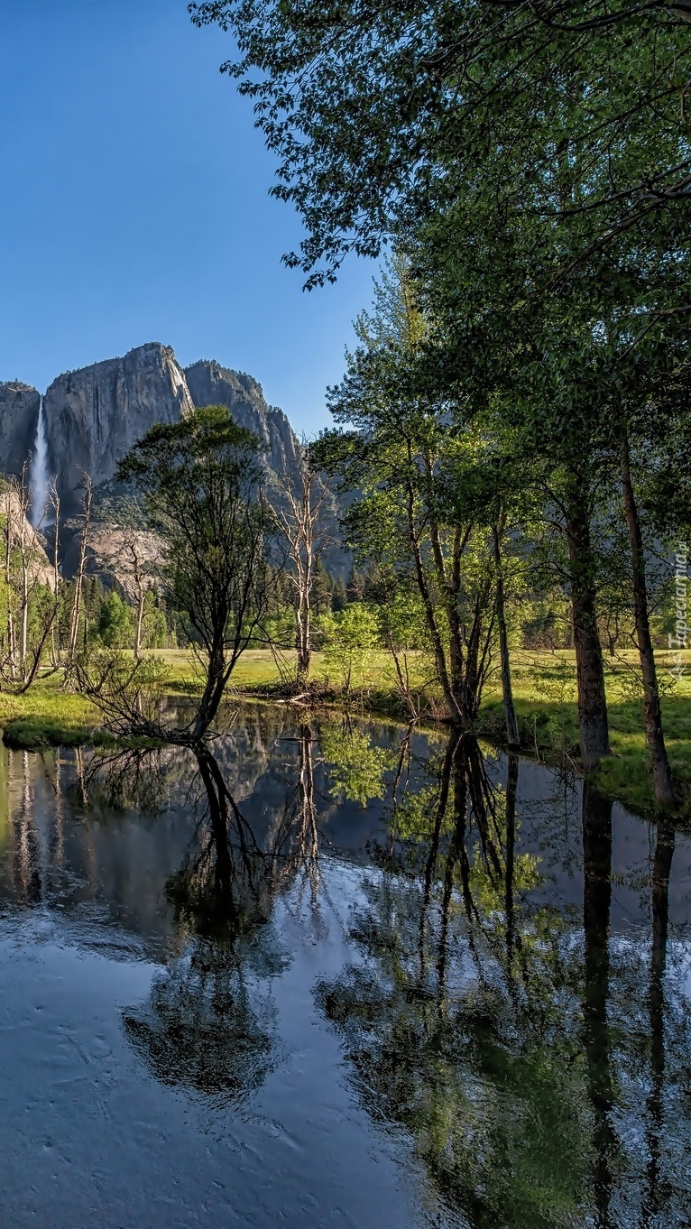 Góry i drzewa nad rzeką w Parku Narodowym Yosemite