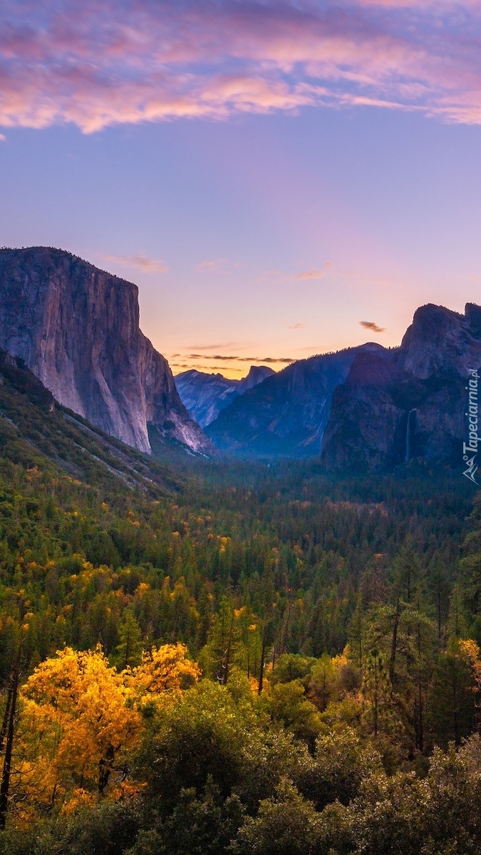 Góry i drzewa w Parku Narodowym Yosemite