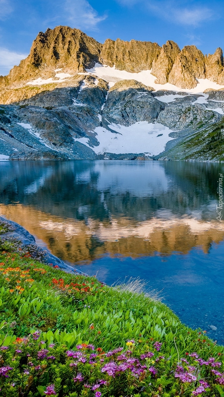 Góry i kwiaty odbite w jeziorze