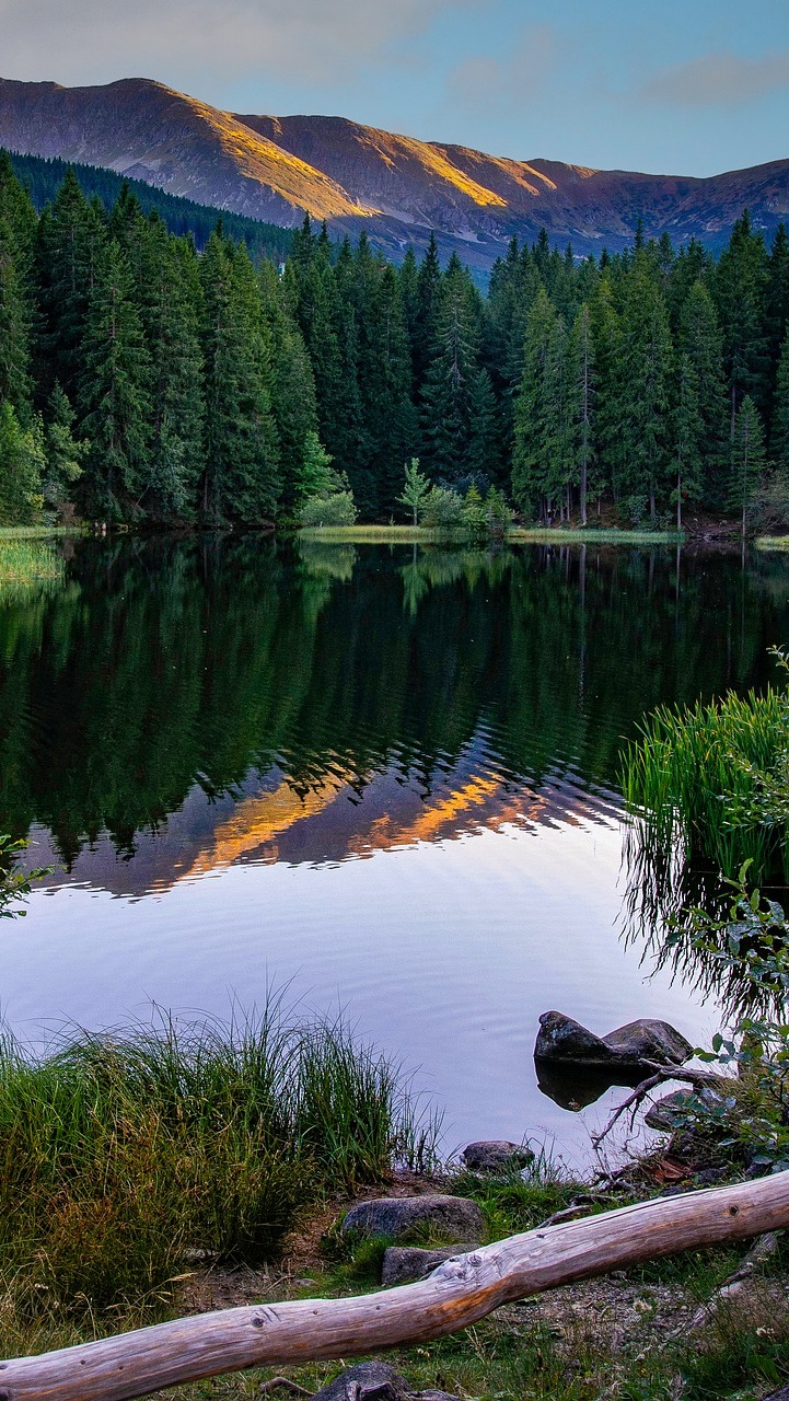 Góry i las nad jeziorem