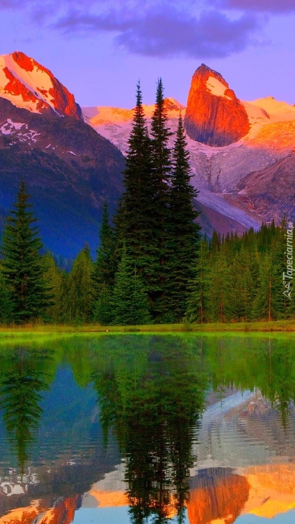 Góry i las w Kanadzie