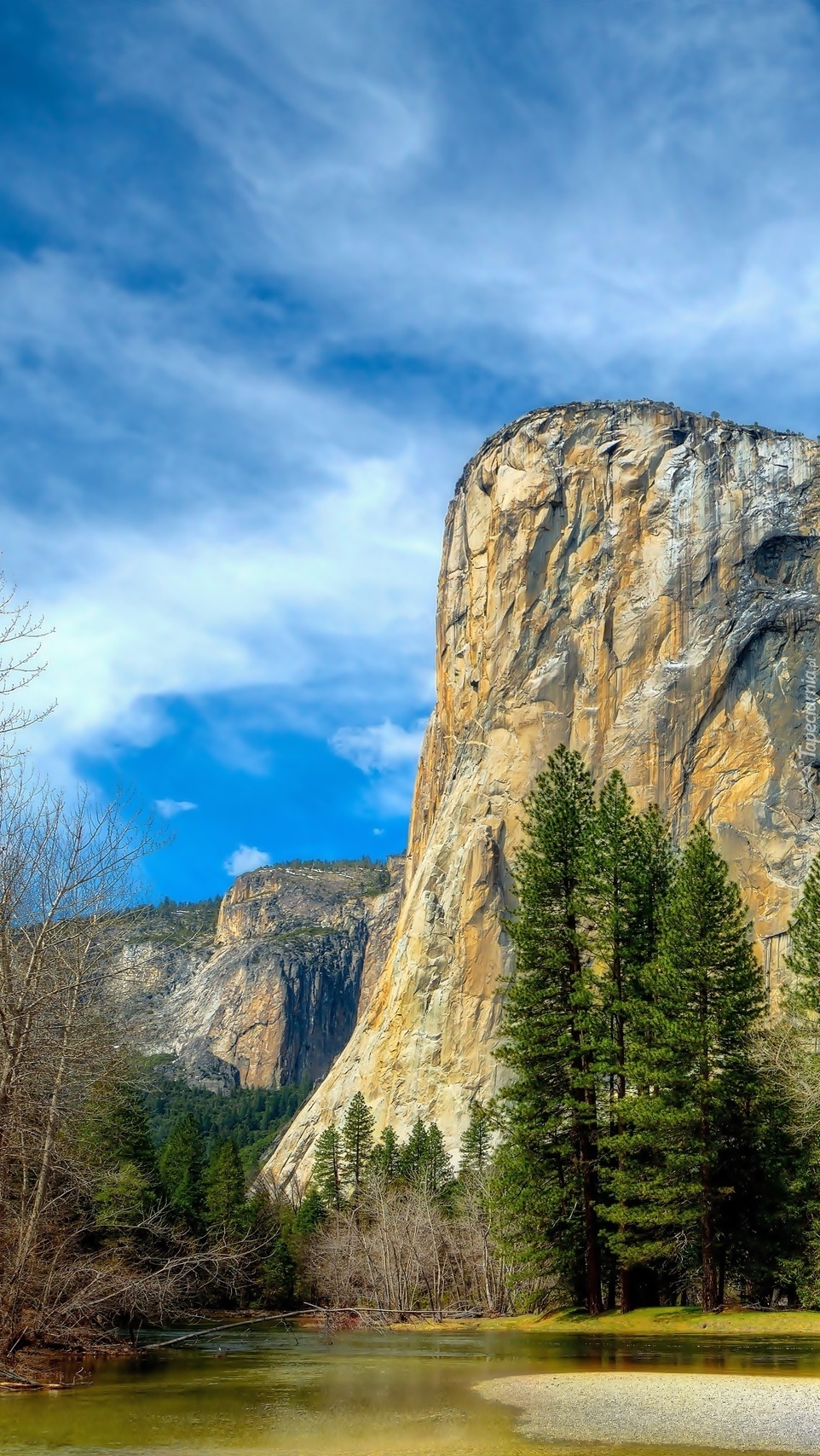 Góry i las w parku Yosemite