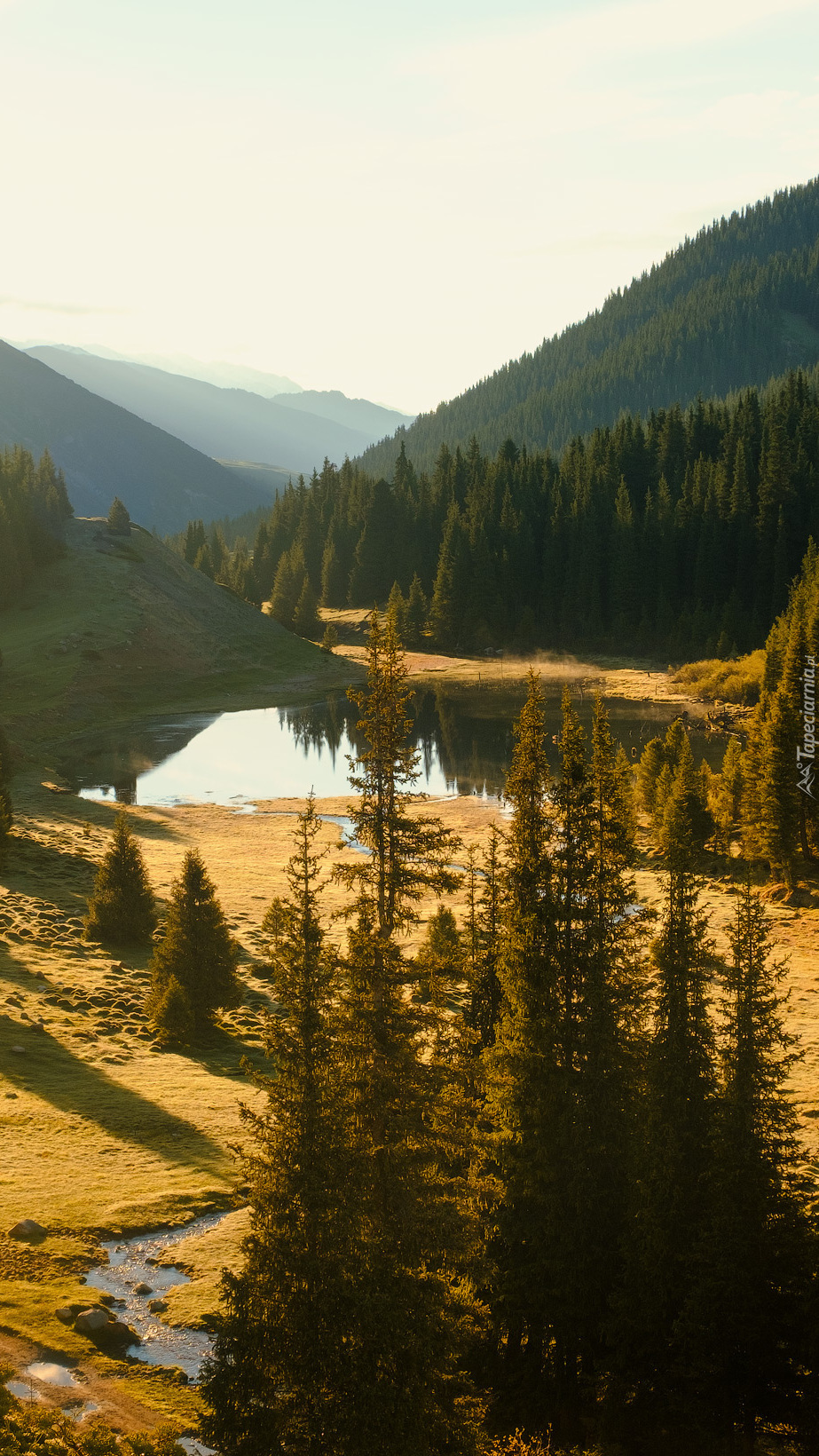 Góry i świerki nad jeziorkiem