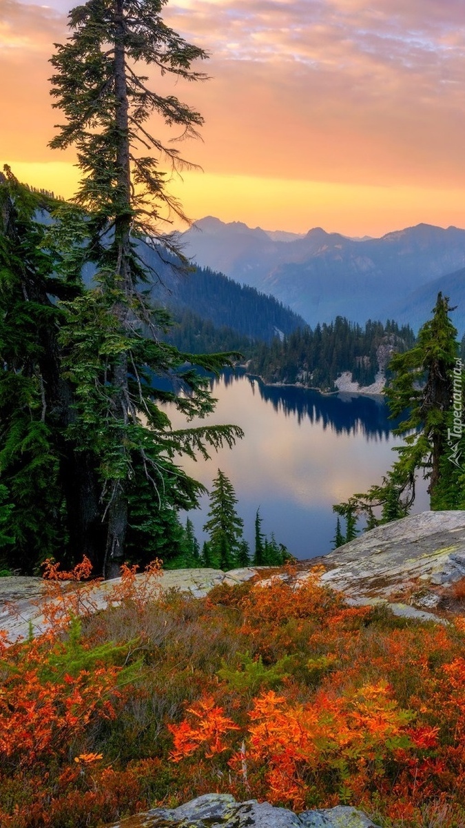 Góry Kaskadowe i drzewa nad jeziorem Snow Lake