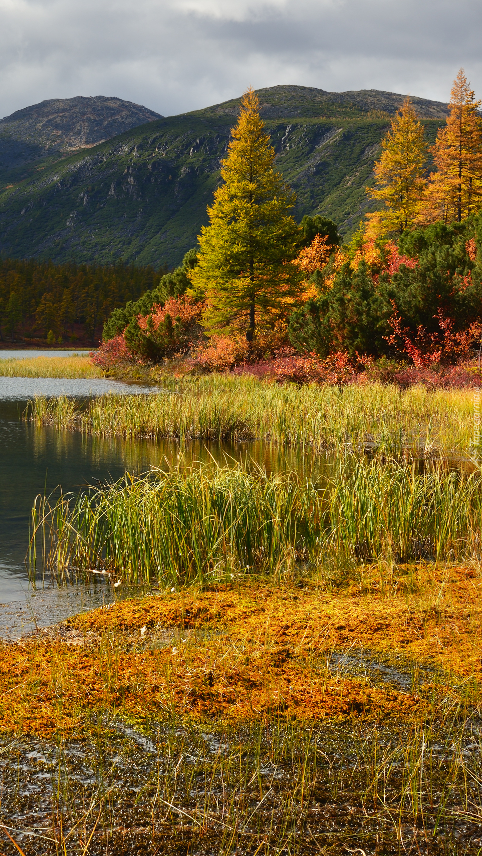 Góry Kołymskie nad jeziorem jesienią