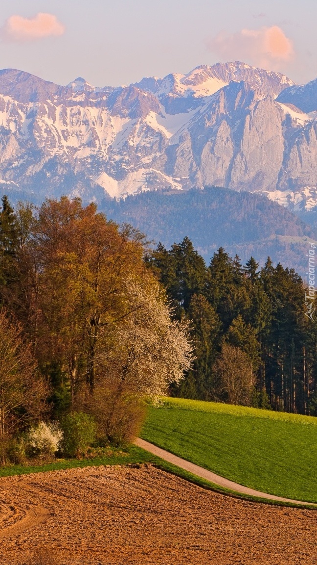 Góry lasy i pola jesienią